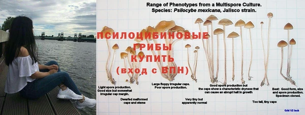 MDMA Надым