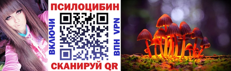 Псилоцибиновые грибы GOLDEN TEACHER  Райчихинск 